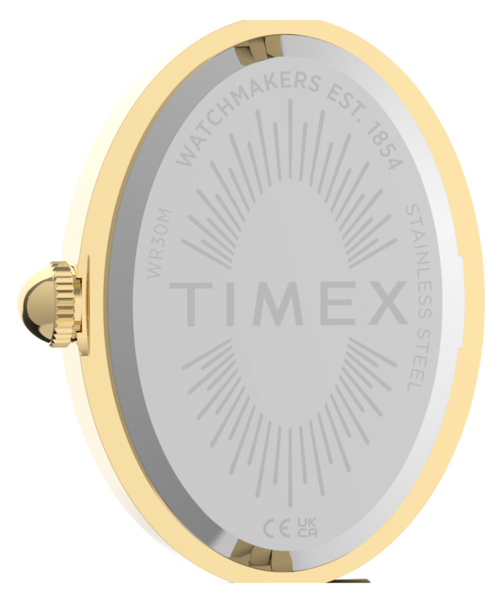 TIMEX TW2Y86100UK imagen 5
